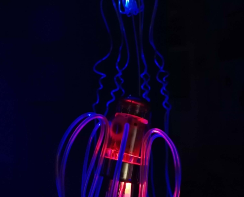 meduse abissi3