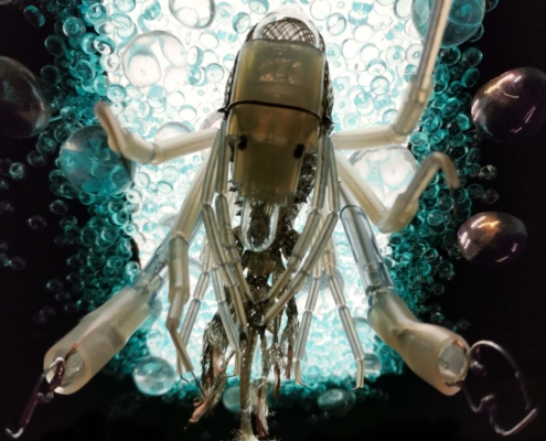 Phronima part6